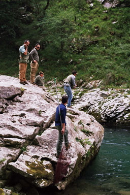 truchas en asturias,pesca truchas,asturias mosca,pesca a mosca pesca mosca